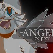 ANGEL Oc Pmv