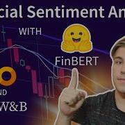 Financial Sentiment Analysis With FinBERT HuggingFace Analyzing Model Predictions W W B Tables