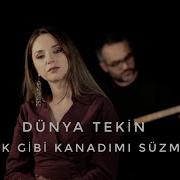 DÜNYA TEKİN KEKLİK GİBİ KANADIMI SÜZMEDİM