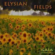 Psychill Elysian Fields Compilation