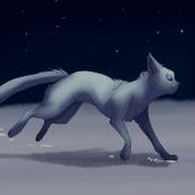 Running Cats How I Animate