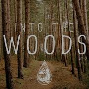 Into The Woods A Mysterious Indie Folk Pop Playlist Vol 2