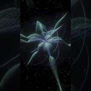 TD Drop 37 Extras TouchDesigner Tutorial