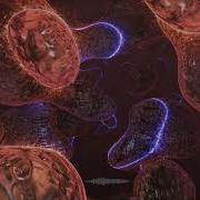 Corporate Loop 01 Medical 1 Basic Optimistic By Jim Paterson