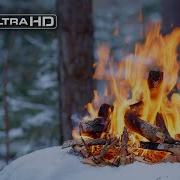 4K Тихий зимний костер в глубине леса Успокаивающие звуки