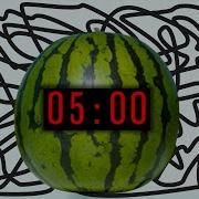 5 Minute Timer Bomb WATERMELON