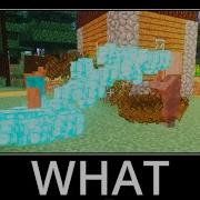 WAIT WHAT Minecraft 52