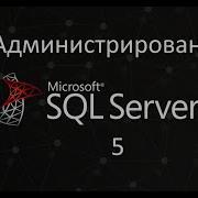 Импорт Экспорт данных SQL Администрирование SQL Server ч 5