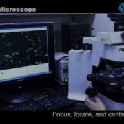 Fluorescent Microscope