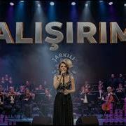 Alışırım Kısmet Değilmiş Harika Avcı Bu Yorum Ciğer Bırakmaz