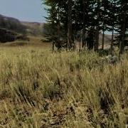 Crysis Golden Fileds Dry Grass ToD Test 3