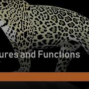 Part IV Structures And Functions