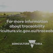 What Is Traceability
