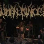 Mountains Of Death 2009 DVD Avi