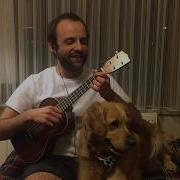 Nev Zor Ukulele Cover Sercan Feat Merlyn