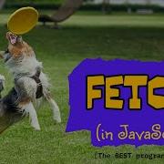 Fetch Recording For Jupiter Cohort Code The Dream