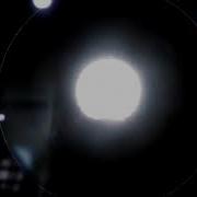 Protoplasmic Movement