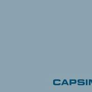 CapsimCore Simulation Entry Level Business