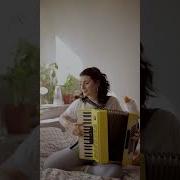 Accordion Version Of Bella Ciao A Powerful Classic Bellaciao Folkmusic