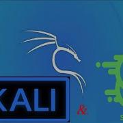 Kali Linux Tools And Scapy Introduction