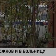 Уголовное дело банды Сергея Цапка 11 12 2012