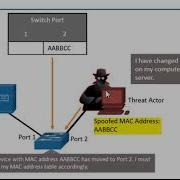 CCNA Amplification Reflection And Spoofing Attacks