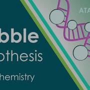 Wobble Hypothesis Anti Codon BIOCHEM Part 4 Protein Synthesis