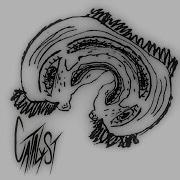 CATALYST Self Titled
