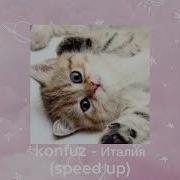 Konfuz Италия Speed Up