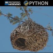 Nested Lists And Dictionaries In Python