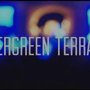 Evergreen Terrace Live At Carly Fest 2014