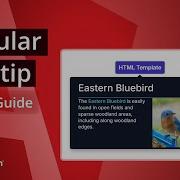 Angular Tooltip The Ultimate Feature Walkthrough