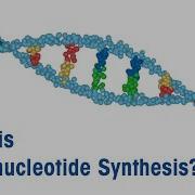 What Is Oligonucleotide Synthesis
