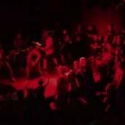 Backtrack Darker Half Live Rain Fest 2012