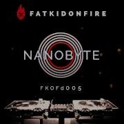 Nanobyte FKOFd005