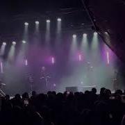 Dolphin 27 10 2022 Tele Club Yekaterinburg Дельфин 27 10 2022 Теле Клуб Екатеринбург