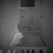 Stranded Lullaby Ghost