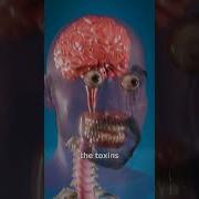 Почему нас рвет