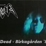 Morbid Live W Dead Death Execution Birkagården 87