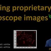 55 How To Read Proprietary Microscope Images Into Python