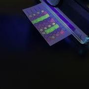DNA Microarray Analysis