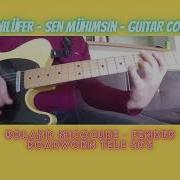 Sen Mühimsin Nilüfer Guitar Cover