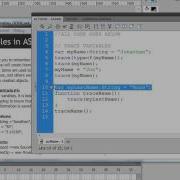FlashCS4 Variables Part2 Mp4