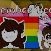 Aroace Man Reacts To Jaiden Animations Being Not Straight