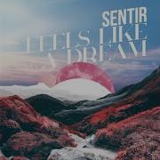 Feels Like A Dream Radio Edit