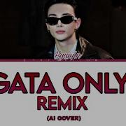 Hyunjin GATA ONLY REMIX Ai Cover Color Colored Lyrics