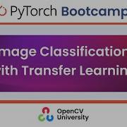 Pytorch Bootcamp For Beginners 6 Image Classification Using Transfer Learning