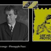 Pineapple Face By Revenge