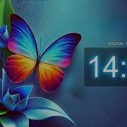 14 Minute Beautiful Butterfly Timer Calming Countdown For Focus Relaxation