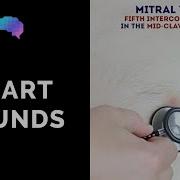 Heart Murmur Sounds Cardiac Auscultation Sounds UKMLA CPSA PLAB 2